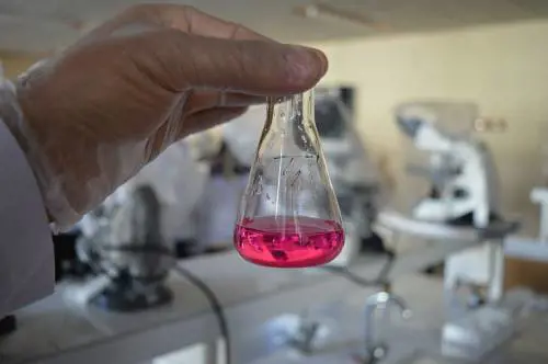 Ecco la proteina usata dal virus per infettare le cellule sane