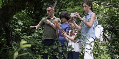 I fratelli D'Innocenzo periferia da capolavoro