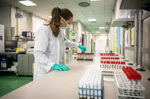 Il vaccino sui macachi fa sperare: così li protegge dalla polmonite