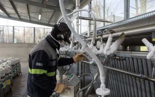 "Gli infetti non contagiano i colleghi": primo test nella fabbrica veneta