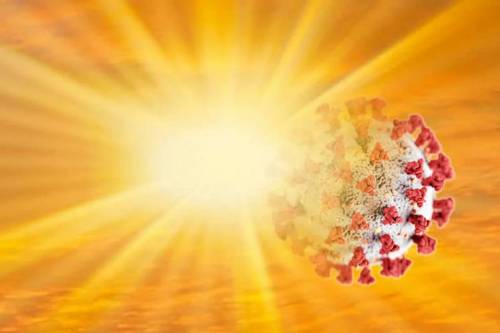 Lo studio che gela le speranze "Il caldo non fermerà il virus"