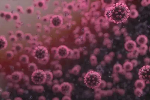 Conferma sulla "tesi Zangrillo". Ecco perché il virus è in "fuga"