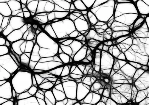 Morbo di Parkinson, scoperta la "coppia molecole" che rallenta la malattia
