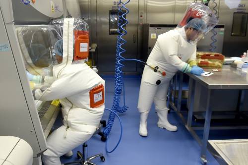 "Covid uscito dal laboratorio": ma lo studio ora cambia tutto