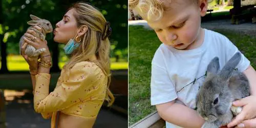 Chiara porta Leone in agriturismo, i vegani insorgono: "Poi vi mangiate quegli animali"
