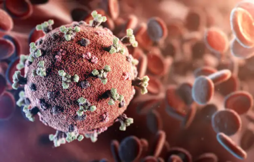 "Il virus circola da ottobre e si sta adattando all'uomo". Ecco cosa dice l'esperto