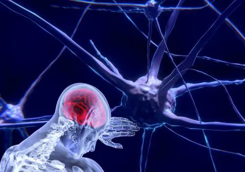 C'è un "pulsante" per ibernare il cervello: ecco cosa dicono gli scienziati