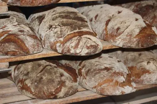 Meglio carta o plastica? Tutti i segreti del pane che ancora non sapete