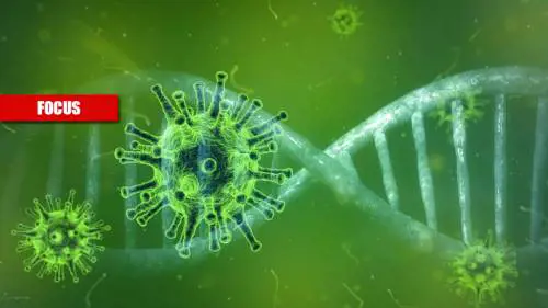 Gruppo sanguigno e genetica: chi colpisce la tempesta Covid