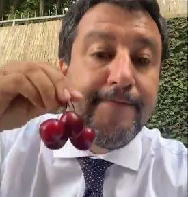 Salvini risponde alle critiche mangiando le ciliegie su Twitter