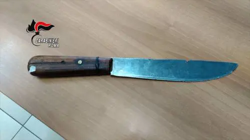 "Basta con schiamazzi" E tunisino col machete accoltella un birraio