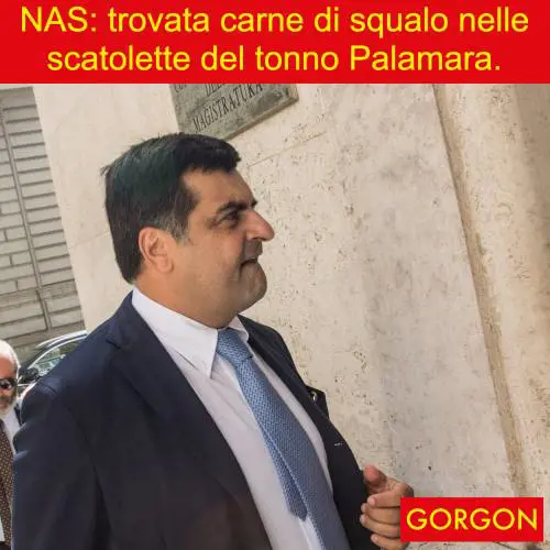 La satira del giorno: la scoperta sconvolgente nel tonno Palamara