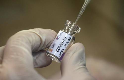 In un laboratorio Usa creato il virus per il "contagio intenzionale"