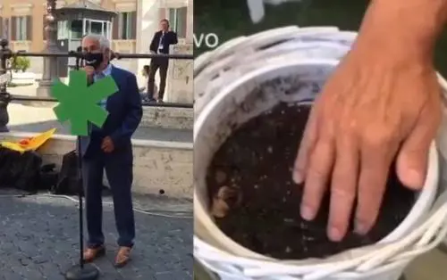 La campagna giallorossa: "Legalizzate la cannabis Noi la coltiviamo a casa"