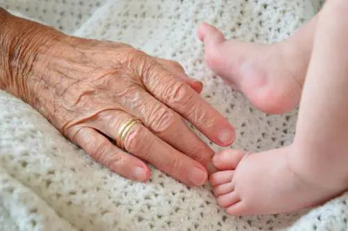 Bonus anche per i nonni-baby sitter