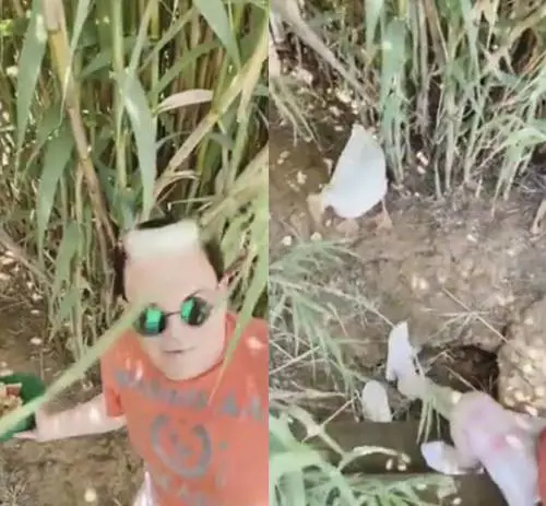 Aggressione "selvaggia" per Cristiano Malgioglio rincorso dalle oche: "Urlavo disperato"