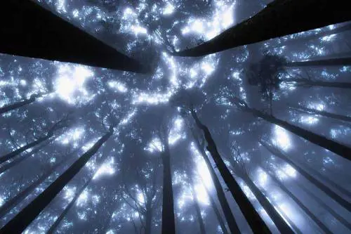 Il mistero del genoma umano: tracce di organismi primordiali