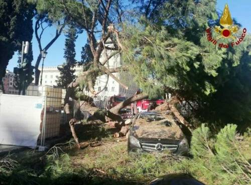 Roma, albero cade in centro e colpisce un'auto in transito