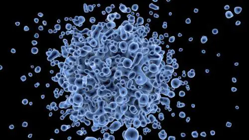 Quell'antico virus umano che causa il tumore al seno