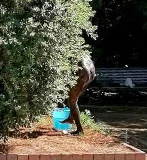 Migranti nudi davanti ai bimbi. L'ultimo schiaffo a chi li ospita