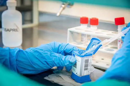 Pochi tamponi e 1.350 casi. L'Inail: "Le donne più colpite"