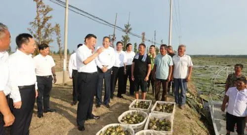 Le tappe dell'ultima ispezione di Xi Jinping nell'Anhui