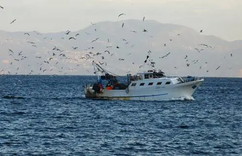 Sequestrati pescherecci italiani. Spari dalle motovedette libiche