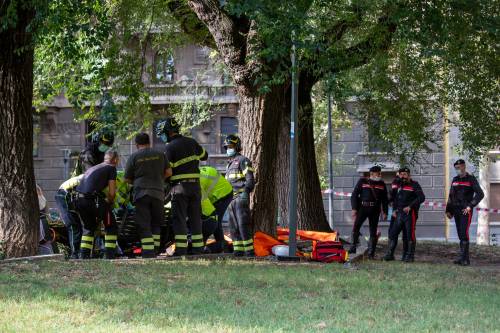 Milano, ramo si spezza e travolge una donna: ricoverata in codice rosso