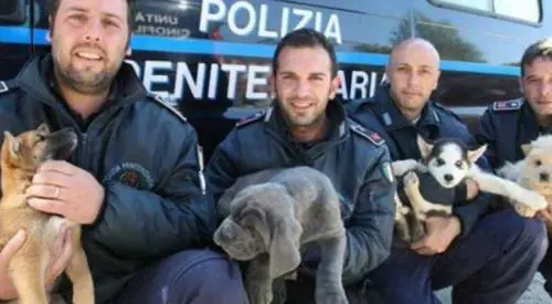 Da randagi ad anti-droga. La seconda vita dei cani della polizia penitenziaria