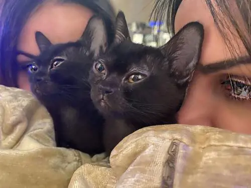 Nina Moric va dal veterinario. Ma dimentica il gatto