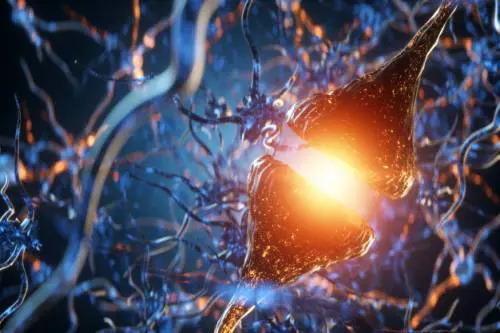 Perché il corpo vuole solo dormire