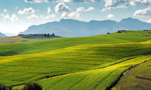 Il concime che cambierà (totalmente) l'agricoltura