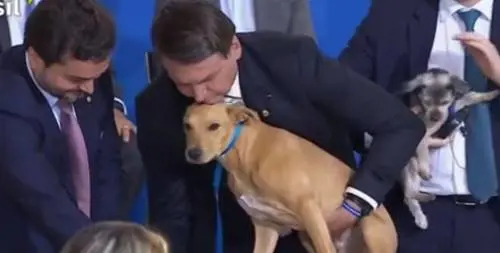 Bolsonaro fa firmare al suo cane la legge sugli abusi contro gli animali