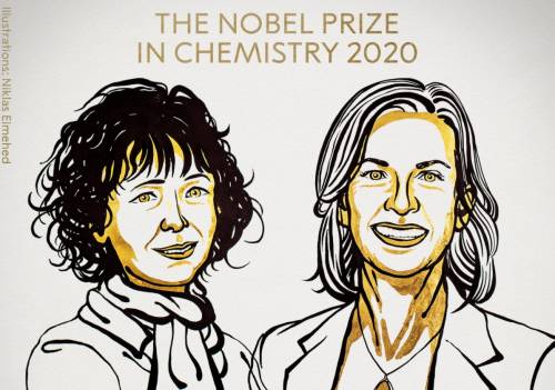Il Nobel per la Chimica  a Charpentier e Doudna, le donne del Dna
