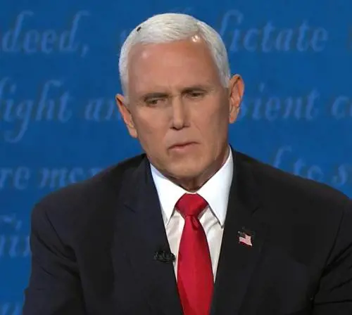 Mosca sui capelli di Pence: i social si scatenano