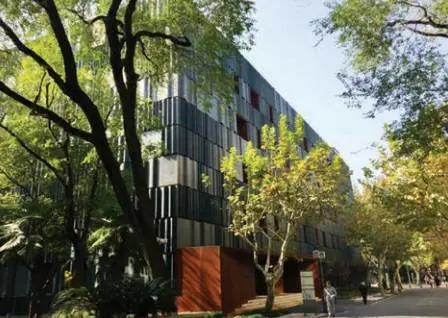 Poli-Tong vuol dire fiducia