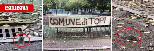 Ecco la Milano di Sala: topi tra i bimbi al parco