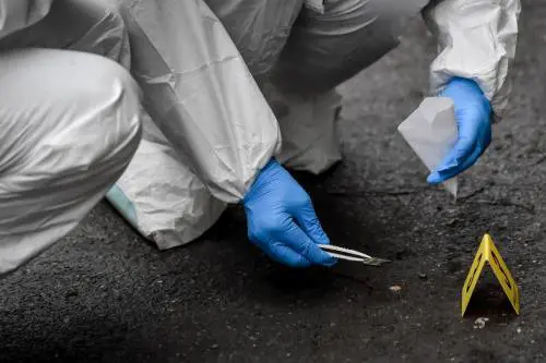 La figlia muore in casa, poi la macabra scoperta: come l'ha nascosta per 40 giorni