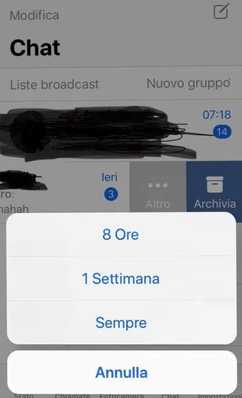 Whatsapp, ora potrete silenziare le chat "per sempre"