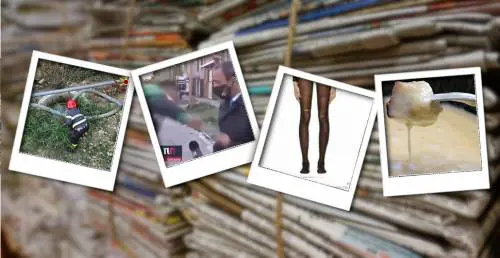 Ruba la fonduta e picchia tutti. E il cronista viene scippato in diretta tv