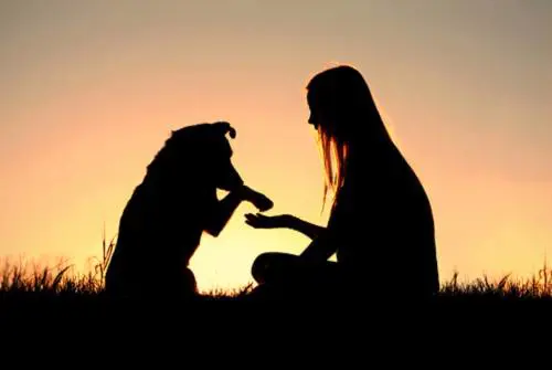 Uomo e cane, amici fedeli già  undicimila anni fa