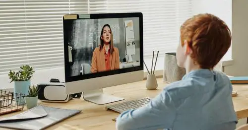 Il dispotismo della didattica a distanza