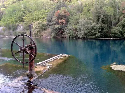 Dalla foresta Umbra agli abeti per gli stradivari, quanto pesa quella storia