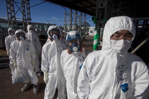 Se l'aviaria altamente patogena si trasforma nel nuovo incubo
