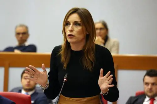 "Basta premiare i furbetti. Cambieremo la legge per tutelare i nostri autori"