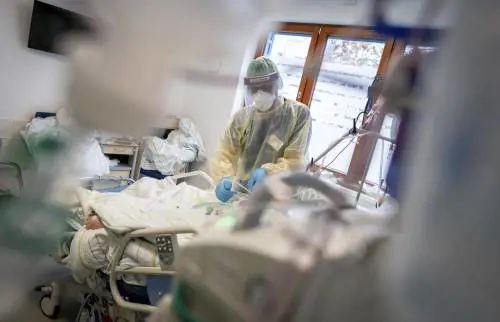 Robot buca spray per orsi in un deposito Amazon: 24 dipendenti in ospedale
