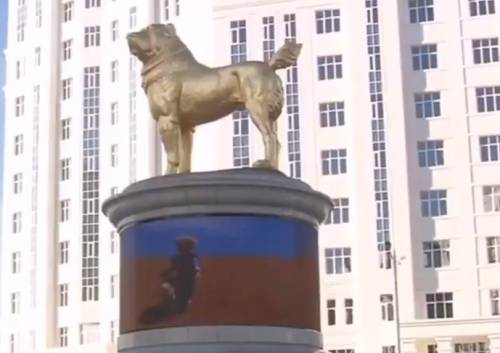 Turkmenistan, una statua d'oro per il cane. Perché l'alabai è il preferito del presidente