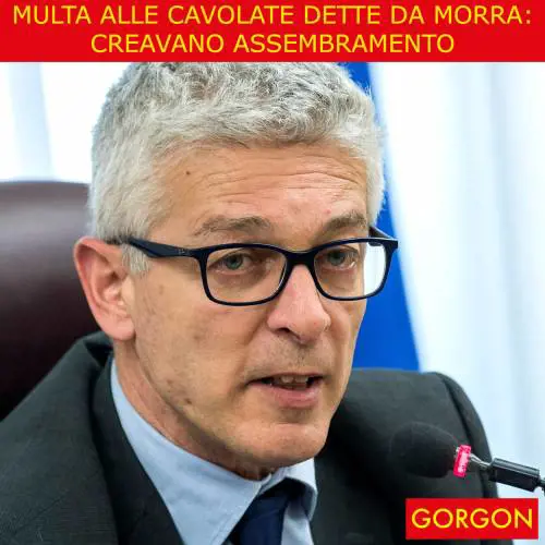 Ecco la satira del giorno: multa salatissima a Nicola Morra