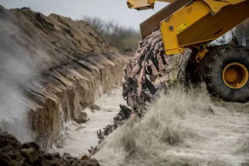 Danimarca, le carcasse dei visoni uccisi riemergono dal terreno