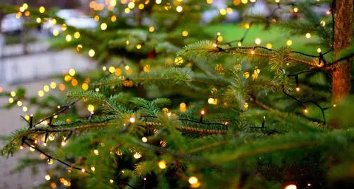 Dalle luci di Natale alle pentole Così si abbatte la super bolletta